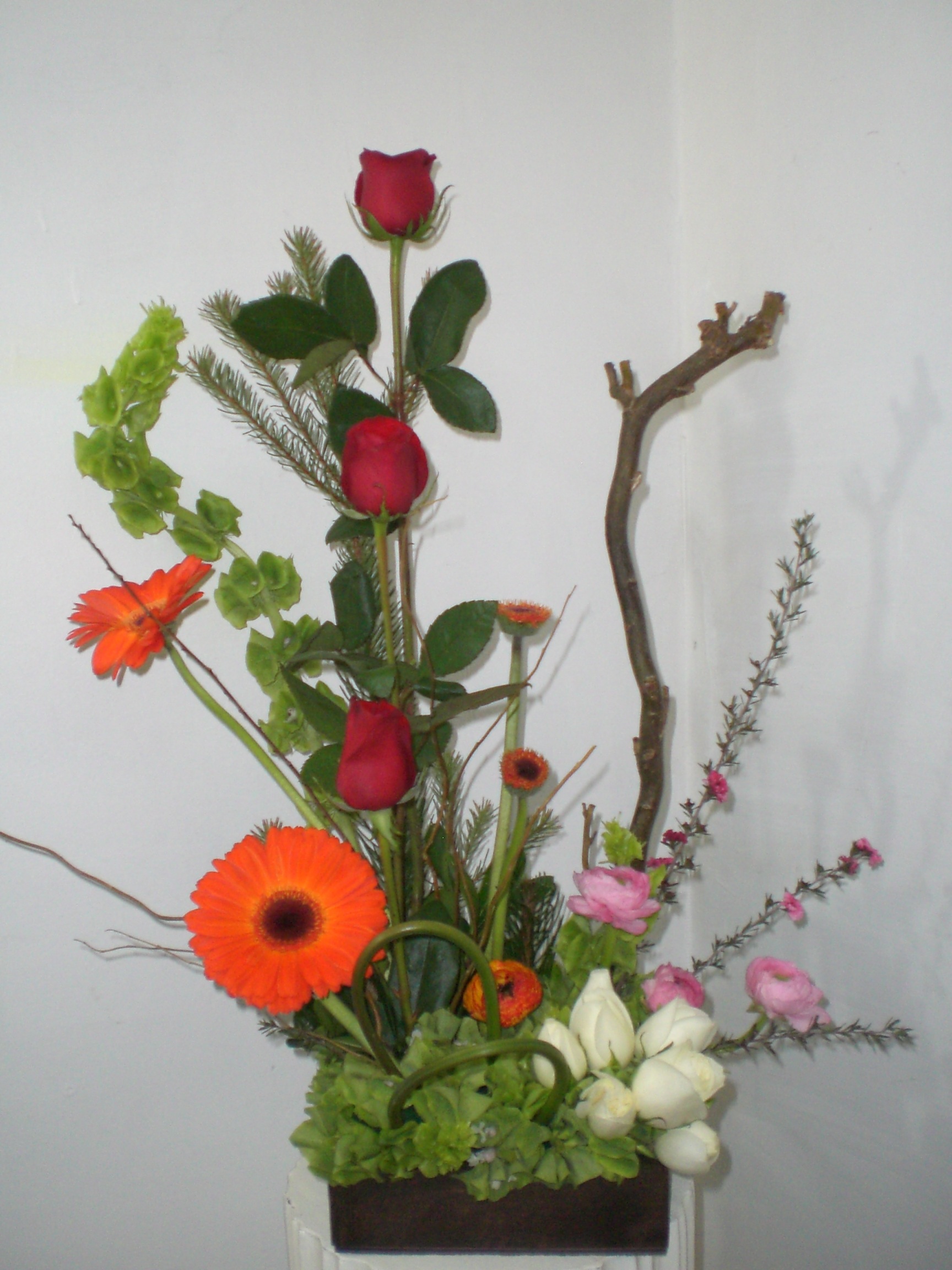 Rosas Gerberas en forma Exotica #66 - Envia Flores y Regalos en Tijuana