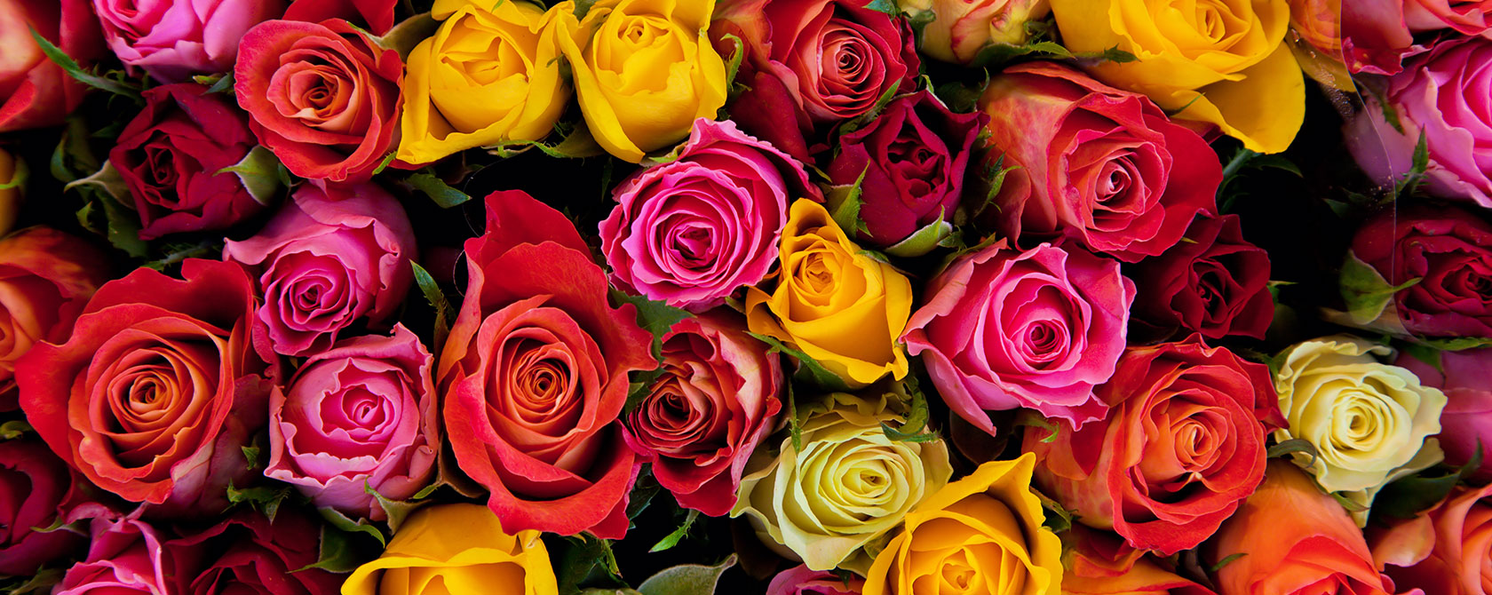 UNA FLOR UN DETALLE INOLVIDABLE