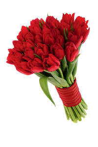 bonito bouquet de 20 tulipanes rojos 550 pesos